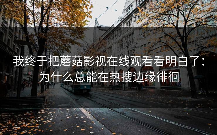 我终于把蘑菇影视在线观看看明白了：为什么总能在热搜边缘徘徊