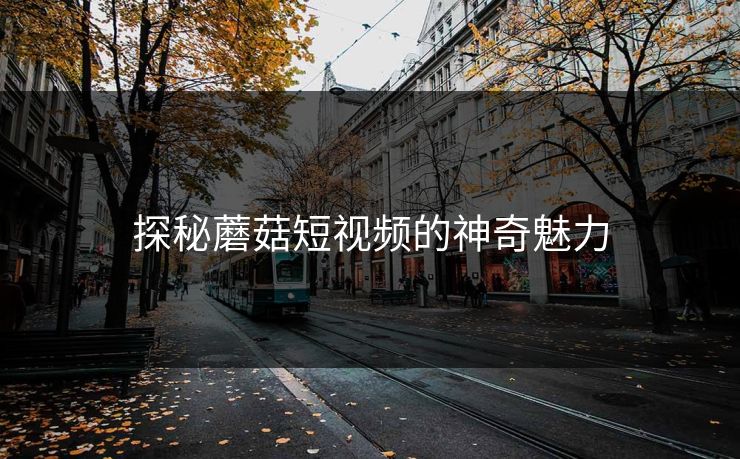 探秘蘑菇短视频的神奇魅力