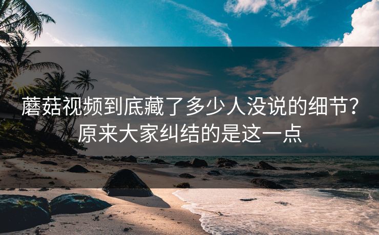 蘑菇视频到底藏了多少人没说的细节？原来大家纠结的是这一点