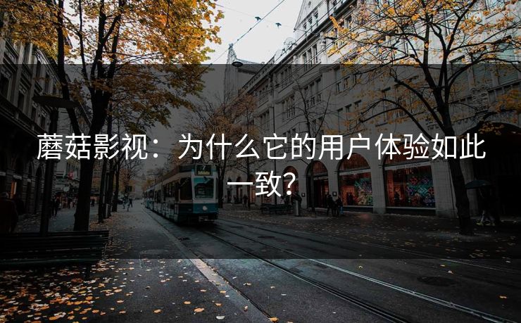 蘑菇影视：为什么它的用户体验如此一致？