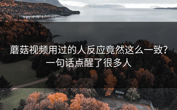 蘑菇视频用过的人反应竟然这么一致？一句话点醒了很多人