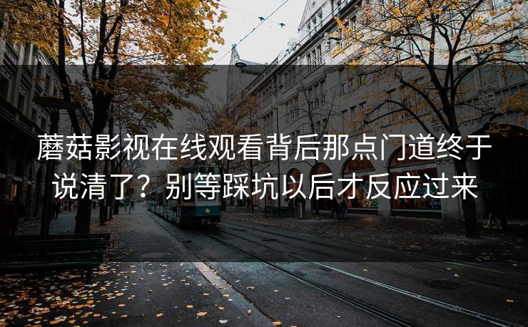 蘑菇影视在线观看背后那点门道终于说清了？别等踩坑以后才反应过来