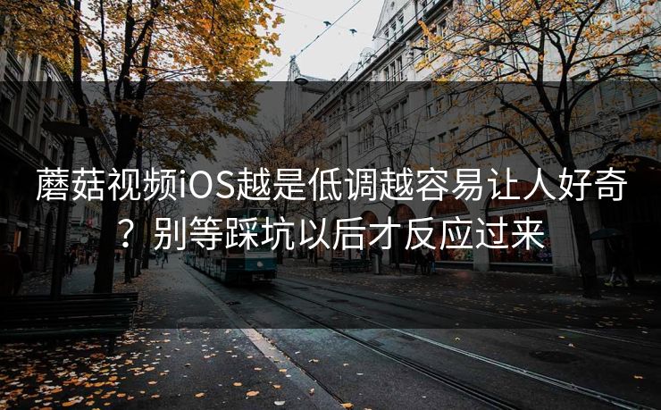 蘑菇视频iOS越是低调越容易让人好奇？别等踩坑以后才反应过来