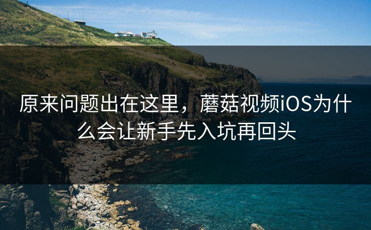原来问题出在这里，蘑菇视频iOS为什么会让新手先入坑再回头