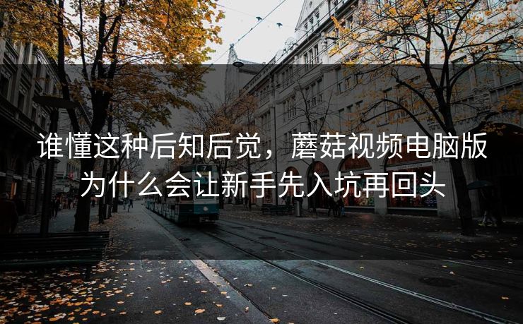 谁懂这种后知后觉，蘑菇视频电脑版为什么会让新手先入坑再回头