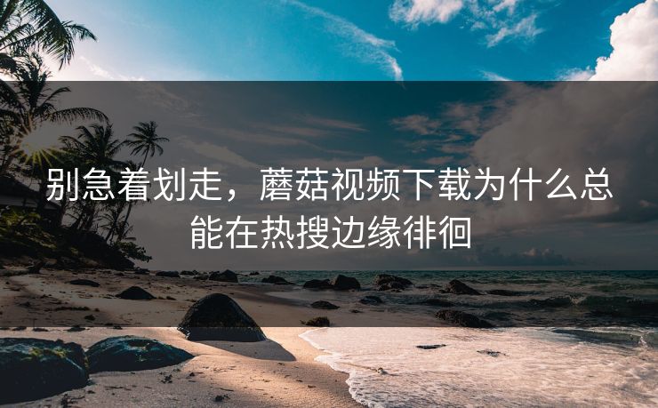 别急着划走，蘑菇视频下载为什么总能在热搜边缘徘徊