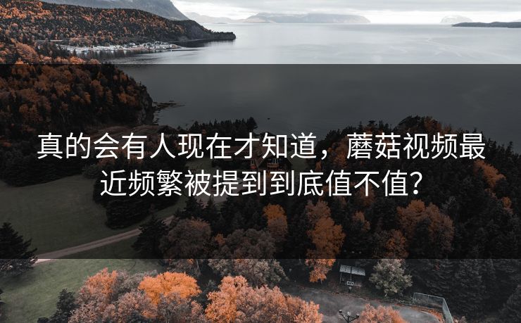 真的会有人现在才知道，蘑菇视频最近频繁被提到到底值不值？
