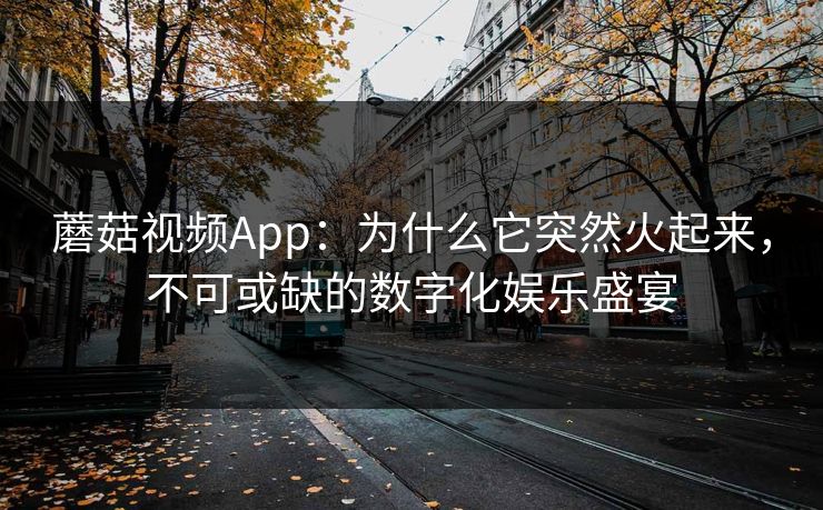 蘑菇视频App：为什么它突然火起来，不可或缺的数字化娱乐盛宴