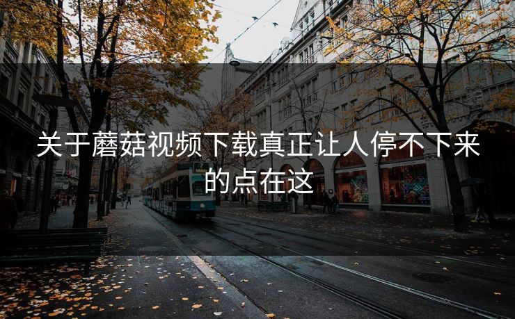 关于蘑菇视频下载真正让人停不下来的点在这 关于蘑菇视频下载真正让人停不下来的点在这