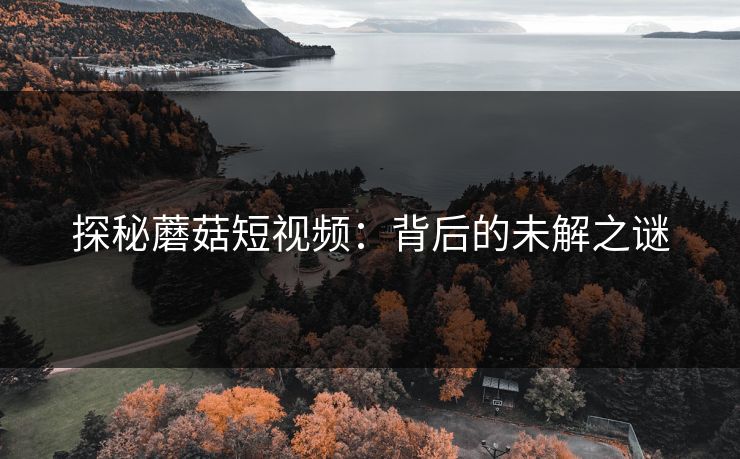 探秘蘑菇短视频：背后的未解之谜