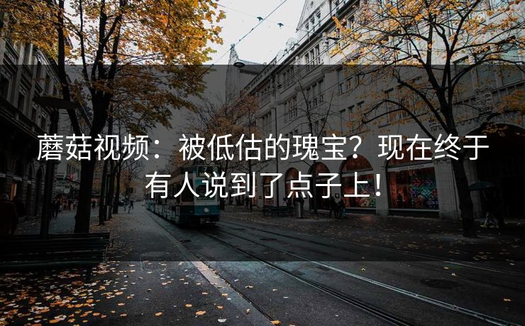 蘑菇视频:被低估的瑰宝?现在终于有人说到了点子上! 蘑菇视频:被低估的瑰宝?现在终于有人说到了点子上!