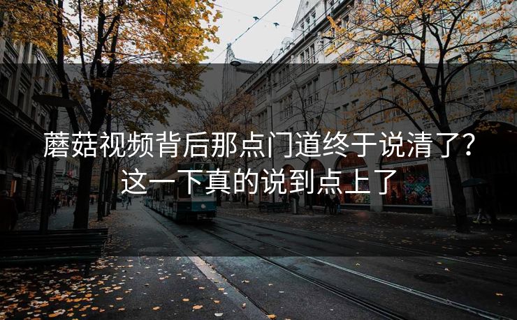 蘑菇视频背后那点门道终于说清了?这一下真的说到点上了 蘑菇视频背后那点门道终于说清了?这一下真的说到点上了