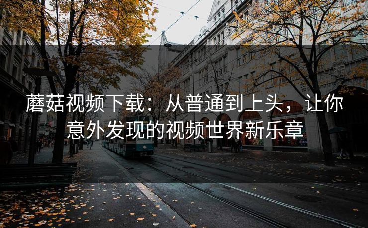 蘑菇视频下载:从普通到上头,让你意外发现的视频世界新乐章 蘑菇视频下载:从普通到上头,让你意外发现的视频世界新乐章
