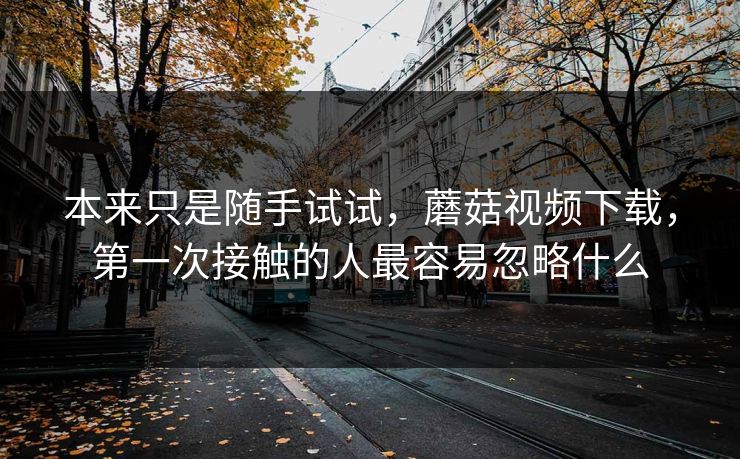 本来只是随手试试,蘑菇视频下载,第一次接触的人最容易忽略什么 本来只是随手试试,蘑菇视频下载,第一次接触的人最容易忽略什么
