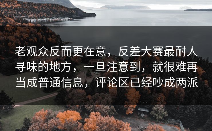 老观众反而更在意,反差大赛最耐人寻味的地方,一旦注意到,就很难再当成普通信息,评论区已经吵成两派 老观众反而更在意,反差大赛最耐人寻味的地方,一旦注意到,就很难再当成普通信息,评论区已经吵成两派