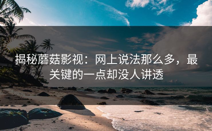 揭秘蘑菇影视：网上说法那么多，最关键的一点却没人讲透