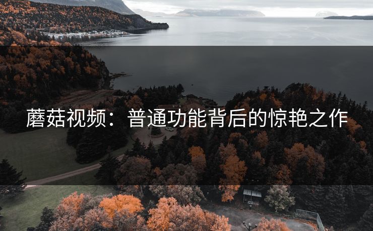 蘑菇视频：普通功能背后的惊艳之作